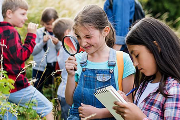 book a knoxville charter bus for all school trips